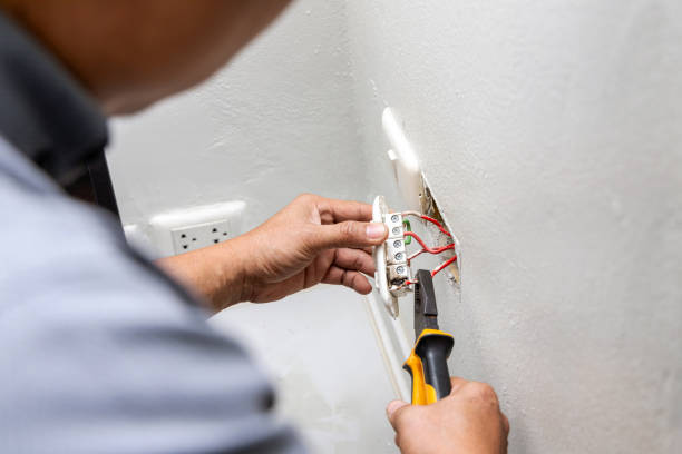 Best Electrical Upgrades for Homes  in Edneyville, NC