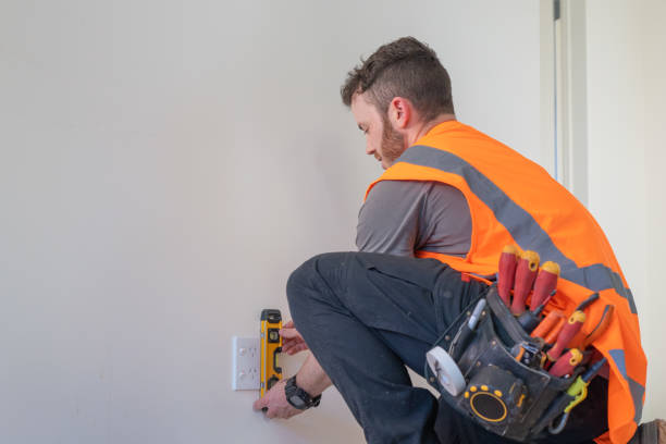 Best Generator Installation Services  in Edneyville, NC
