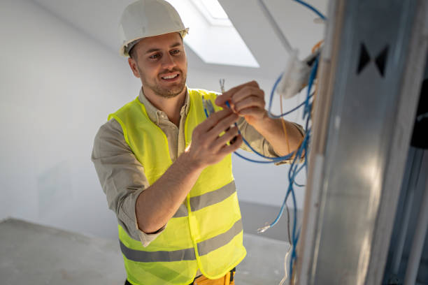 Best Electric Panel Repair  in Edneyville, NC